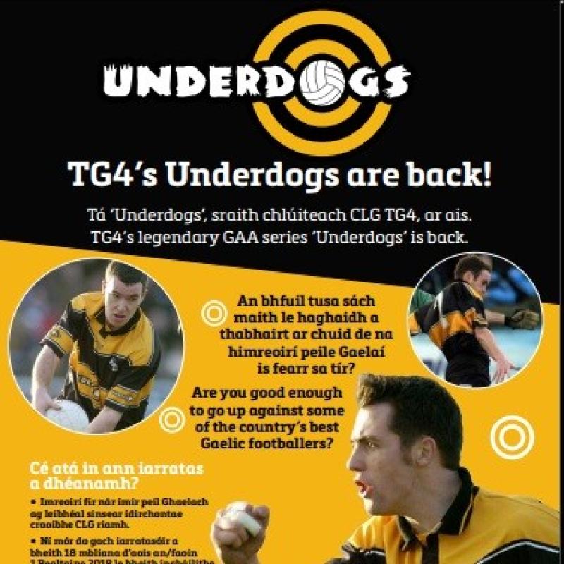 Do you have what it takes? TG4 Underdogs are back
