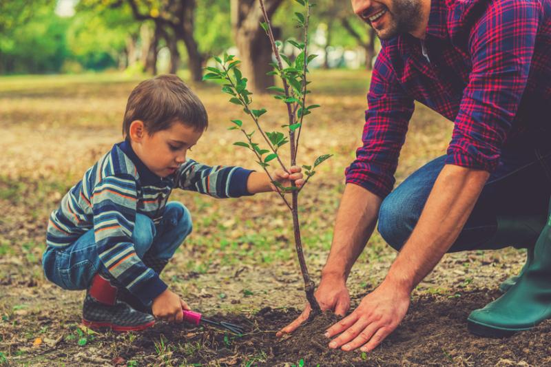 104 children in Foster Care in Sligo/ Leitrim / West Cavan