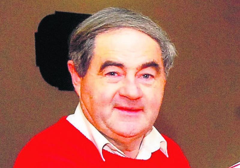 Leitrim Fine Gael  member resigns over referendum  celebrations