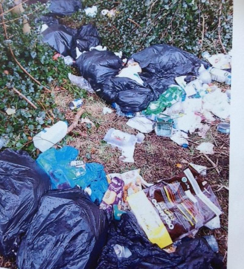Leitrim man who spoiled beauty spot with 'filth' ordered to pay €2,000
