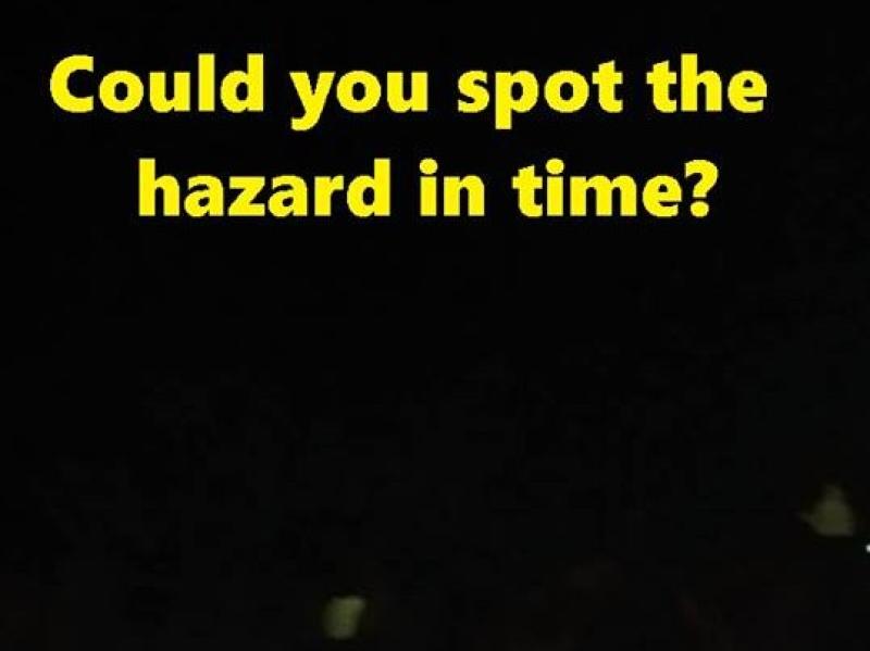 Gardaí issue appeal to farmers to ensure animals are secured at night