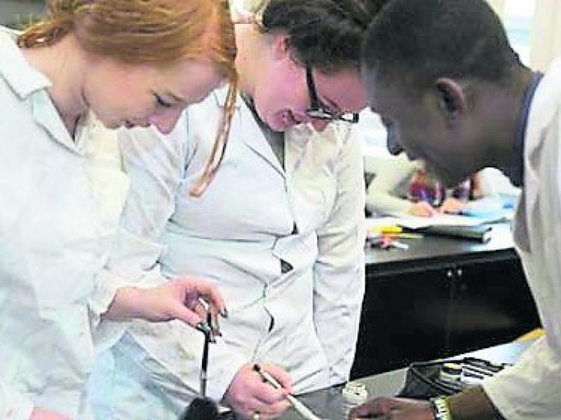 Leaving Cert students advised to consider all options
