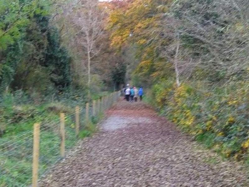 SLNC Greenway going forward