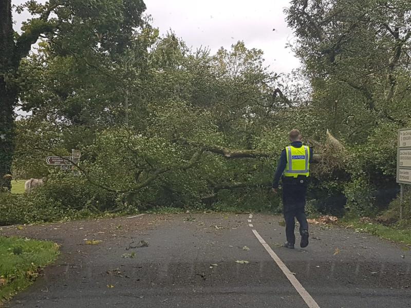 Met Eireann issues Status Orange Wind Warning as Storm Ali bears down on Ireland
