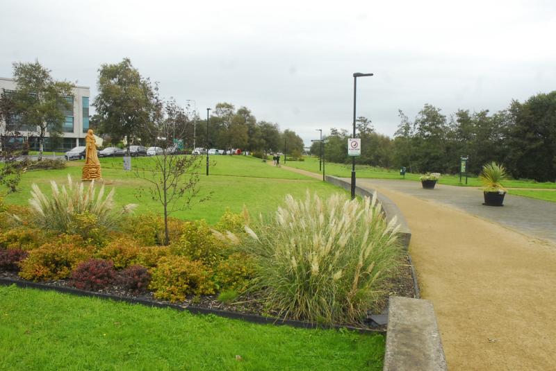 Carrick-on-Shannon cleans up in Tidy Towns competition