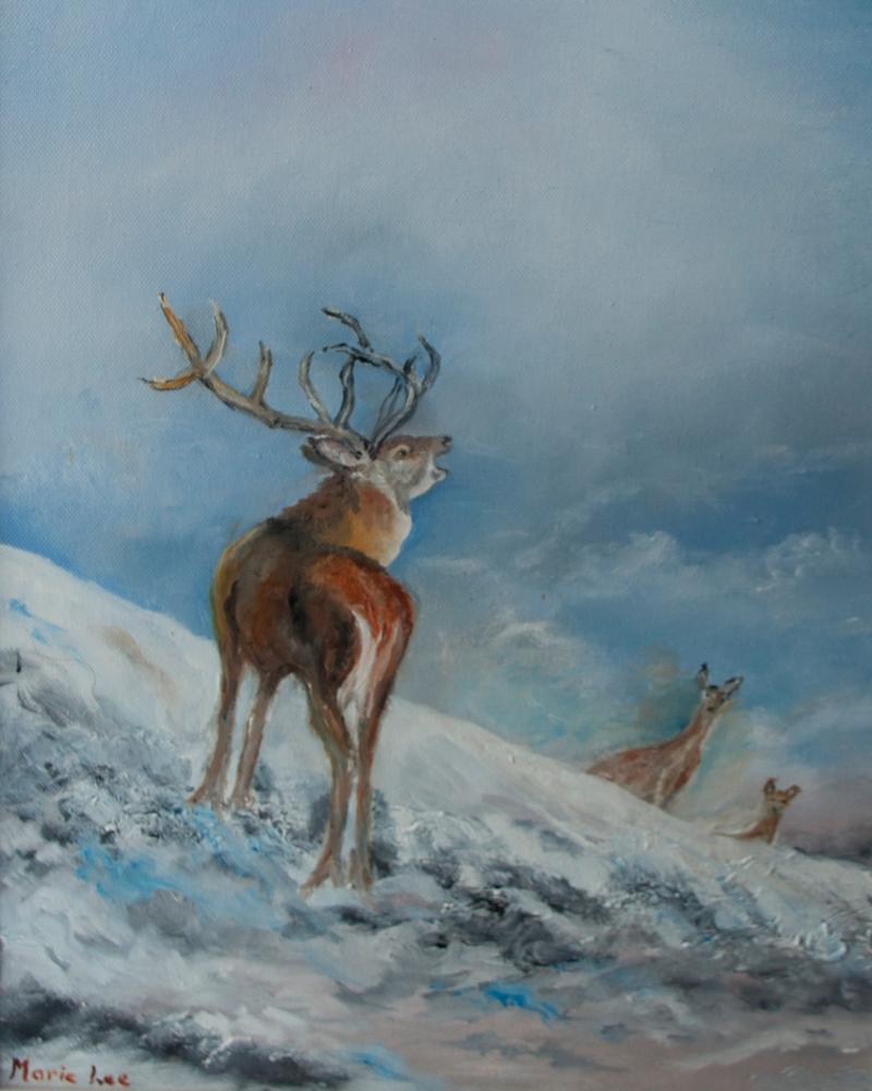 Christmas Show at Solas Gallery, Ballinamore