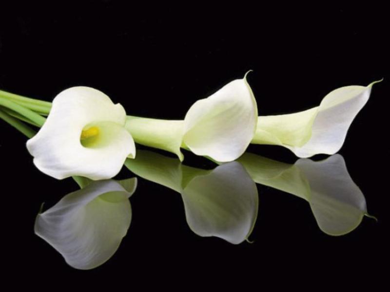 Deaths in Tipperary - Friday, November 23, 2018