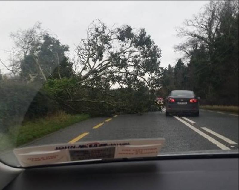 Alert: Met Eireann pinpoints when status yellow wind warning is set to hit 11 counties 