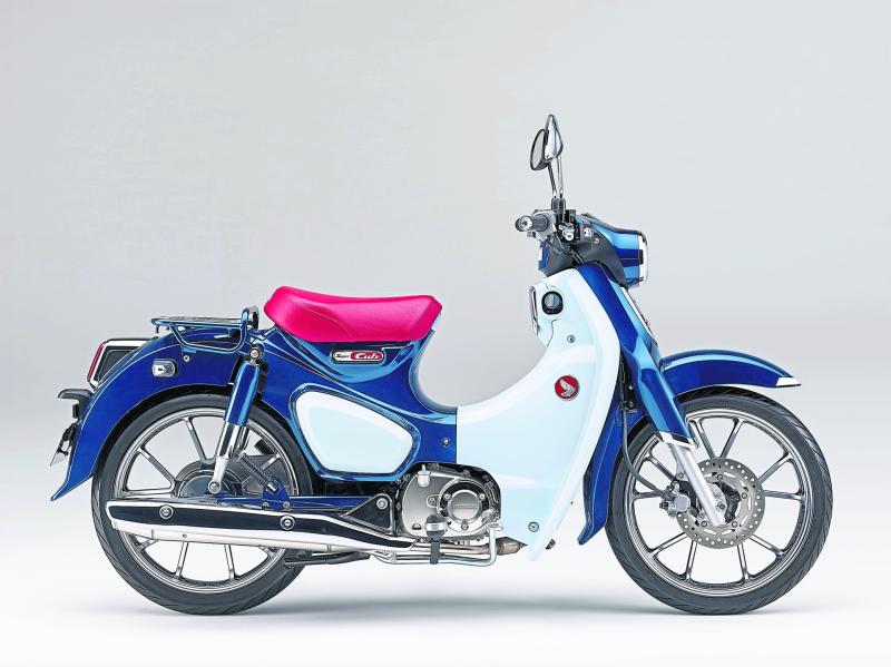 The most popular motor vehicle is back!