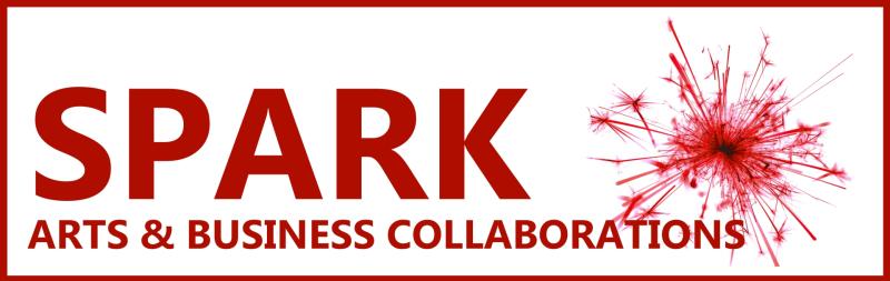 Leitrim's Spark Programme is looking for businesses  to get involved in 2019