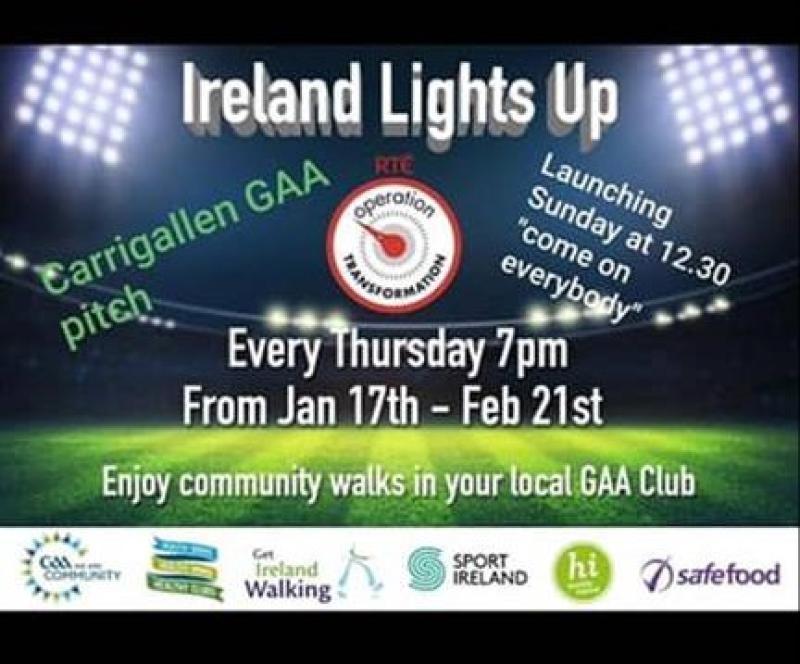 Watch Seamus O'Rourke and David Rawle launch 'Ireland Lights Up' at