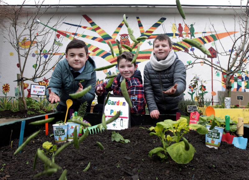 Leitrim's national schools are invited to apply for free BIG GROW packs