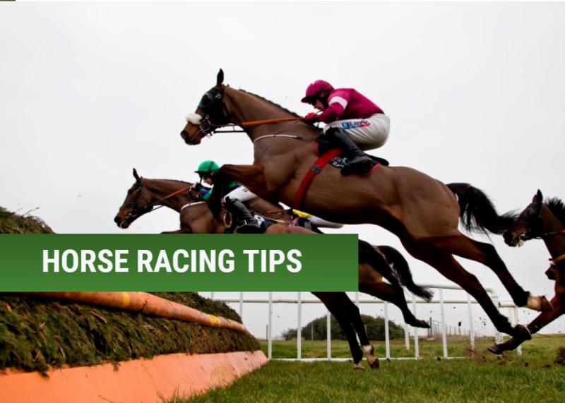 RACING: 5 horses worth a bet at Cheltenham next week 