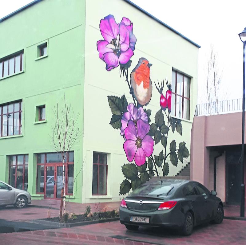 New holiday village in Manorhamilton attracting attention