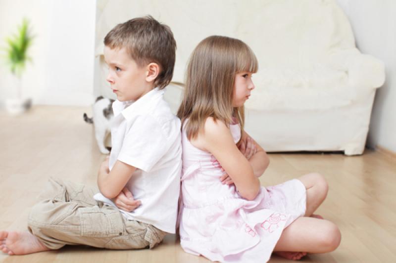 Leitrim Mammy Diaries: Sibling rivalry - the love/hate relationship