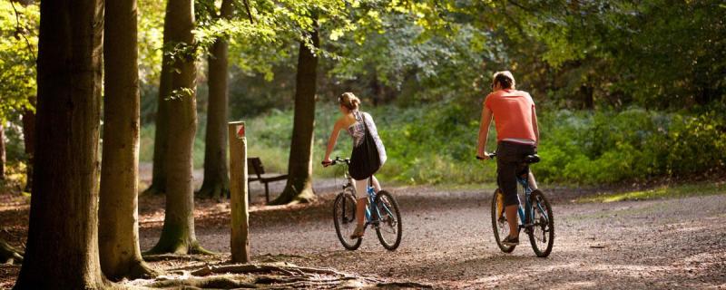 Co. Tipperary people urged to donate their old bikes to Rebike Ireland