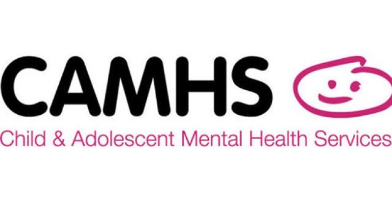 Our health system is 'not fit for purpose' and is 'failing families' in need