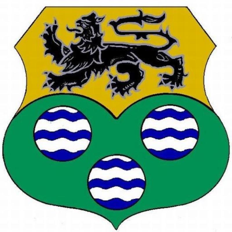 Nine candidates for six seats in the Manorhamilton area