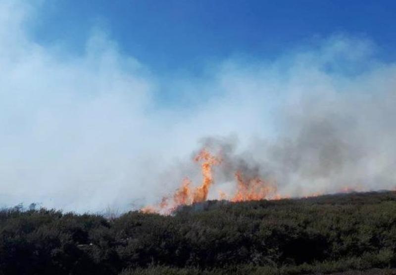 BREAKING: Warning that fire in Kildare bog "will continue to burn for some time"