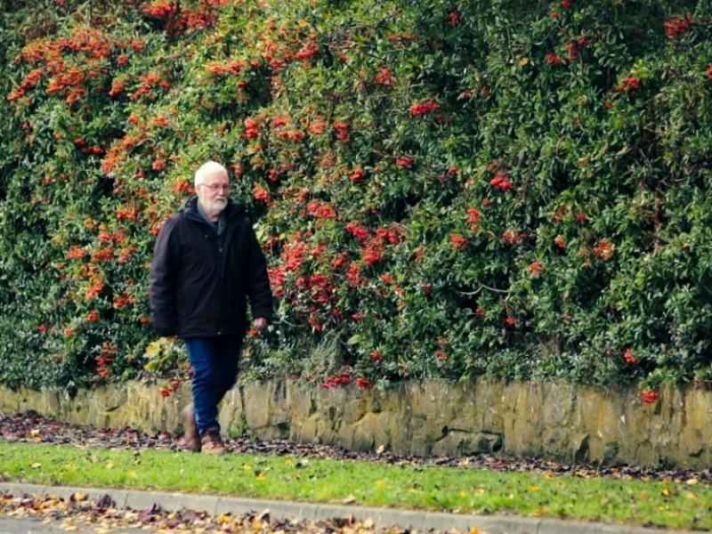 The causes, signs and symptoms of dementia and what you can do to reduce your risk