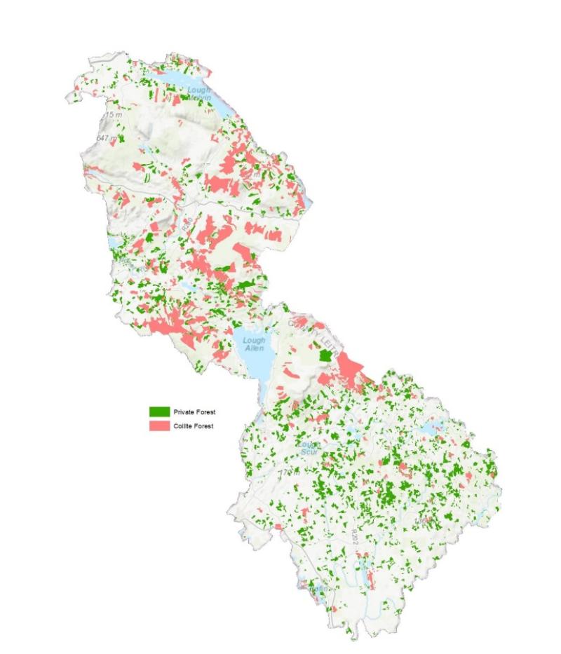 Study published into the social and economic impacts of forestry in Leitrim