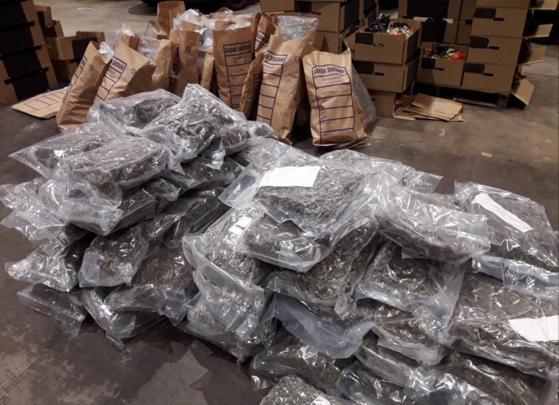 National: Dairy farmer linked to organised crime jailed over €730,000 cannabis haul