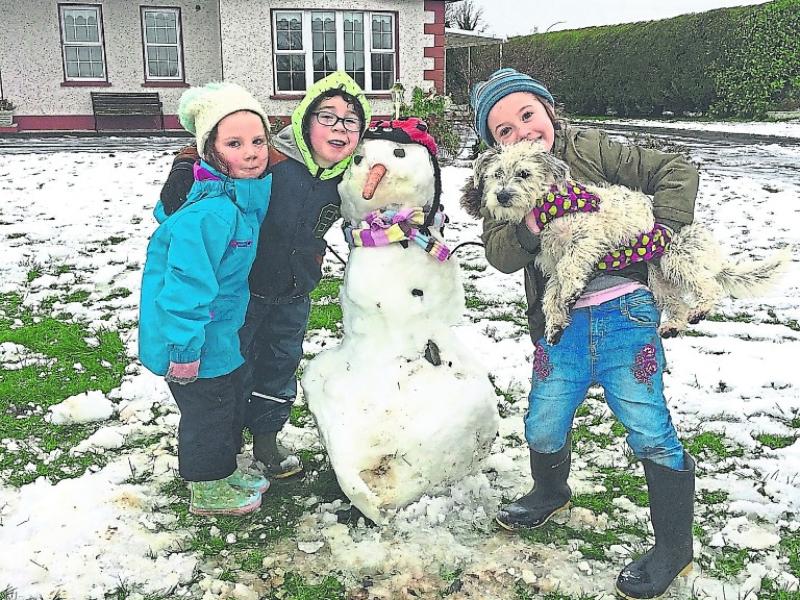 Looking back at February 2019 in Leitrim