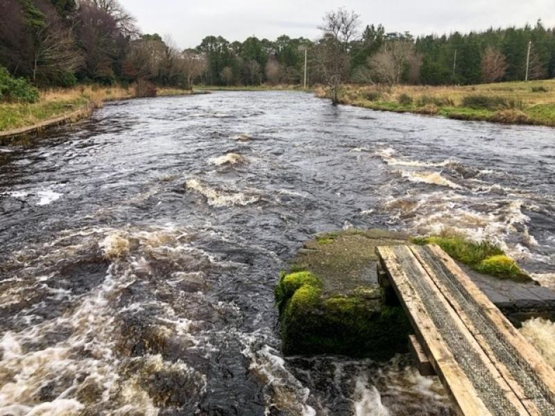 Only local anglers should fish the famous Drowes this year
