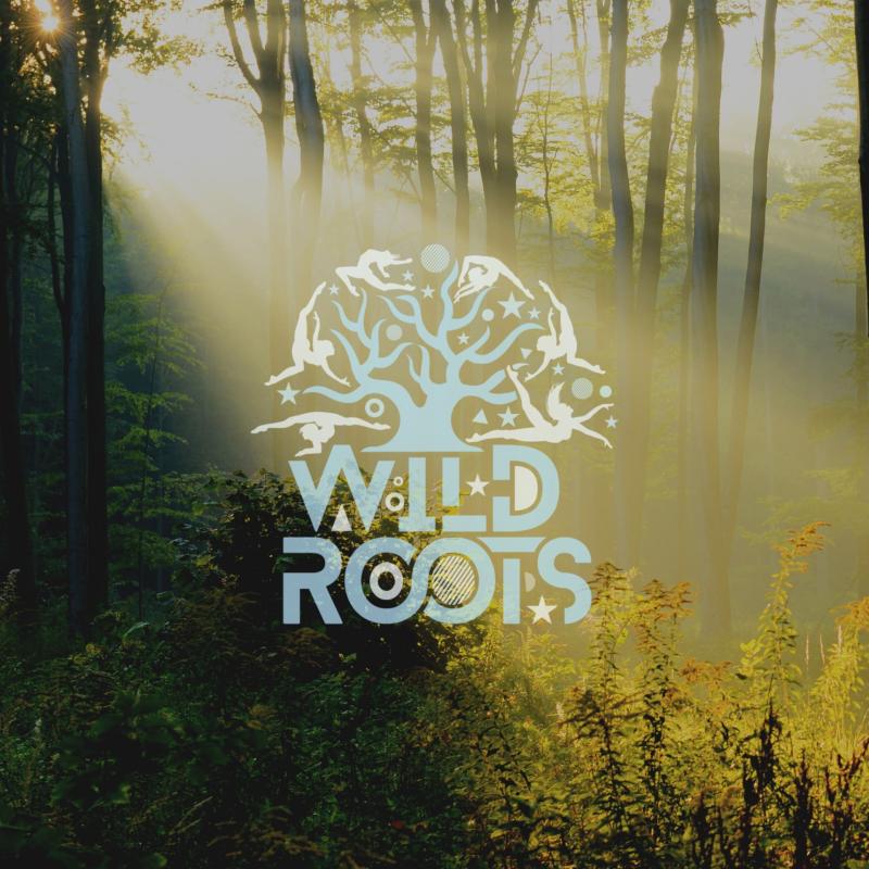 Countdown continues to Wild Roots festival which will be held on the shores of Lough Gill