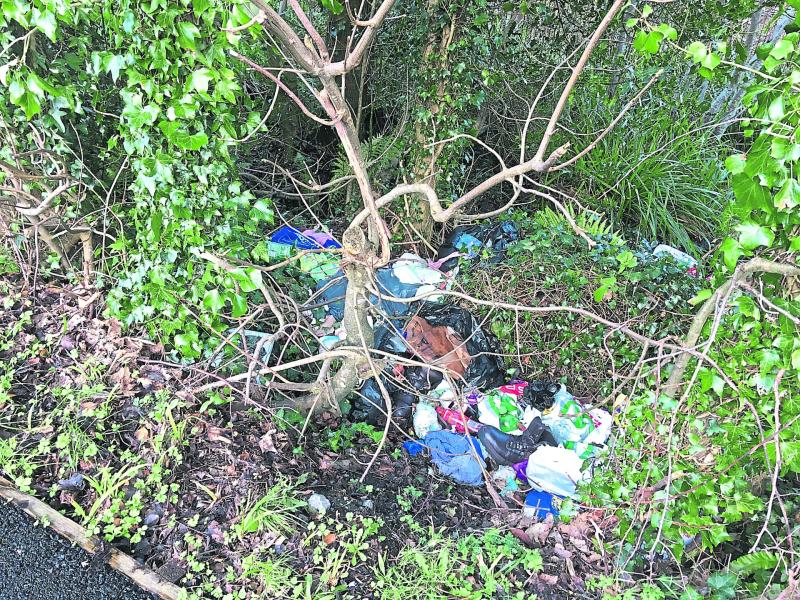 Kinlough walk  blighted by dumping