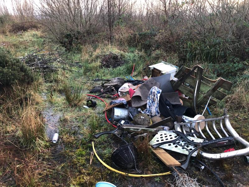 Dead calf among rubbish dumped in Newtownmanor