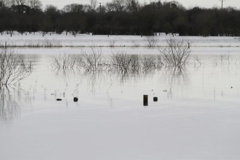 Call for one Shannon Authority to tackle flooding
