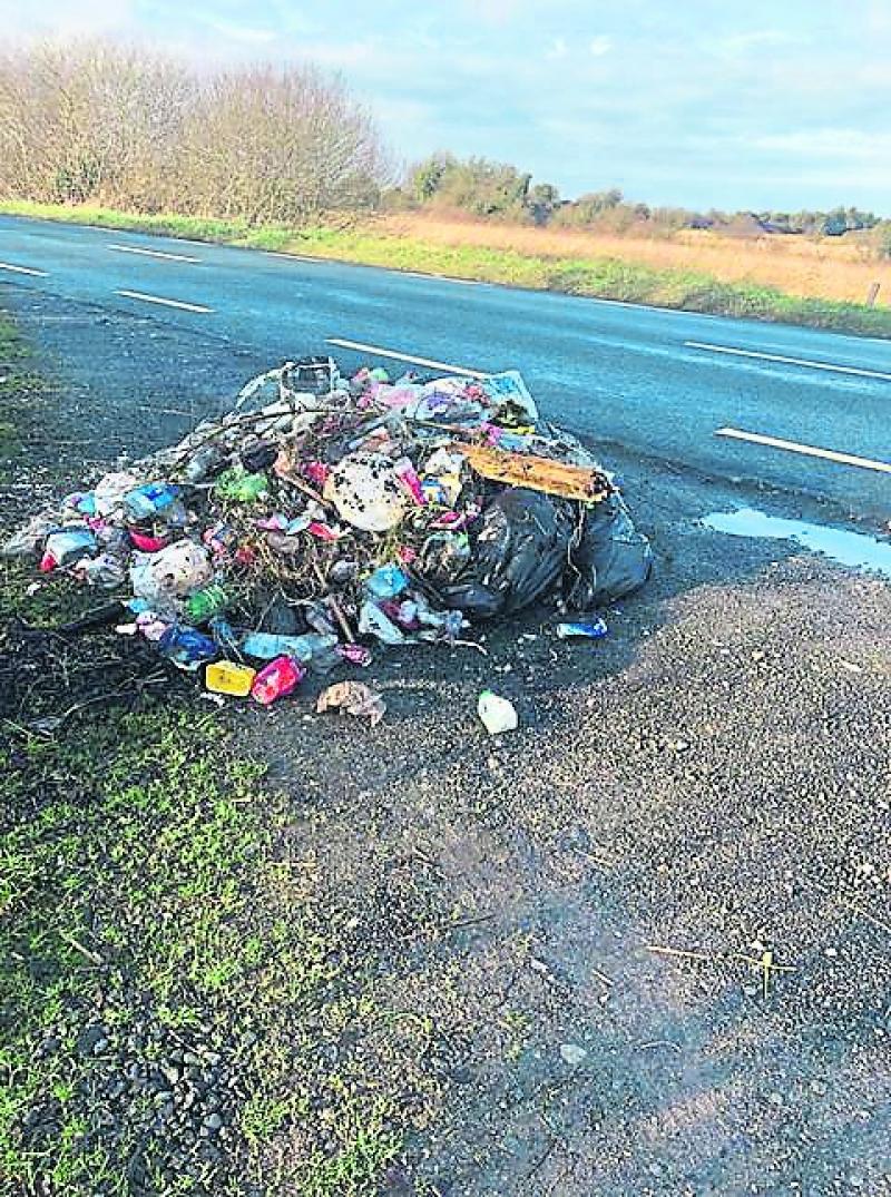 16 prosecutions brought by Leitrim County Council for littering