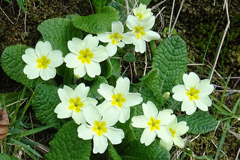 Weather set to be very good on Friday as temperatures forecast to reach 20 degrees