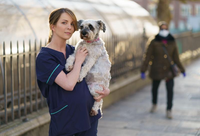 Covid-19 Covid-19 Covid-19