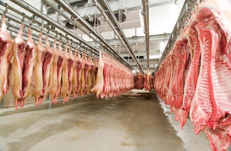 Key questions must be answered by Ministers on meat plants