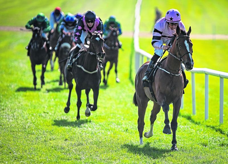 Horse Racing Ireland and RTÉ confirm increased televised coverage for June