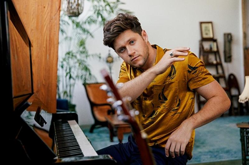 Niall Horan and other Irish celebs in online charity gig fundraiser for the London Irish Centre