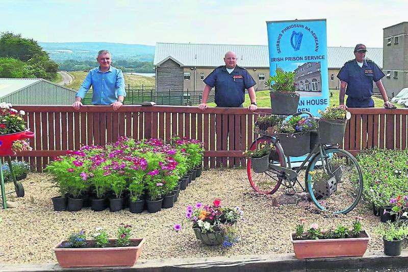 Loughan House donates plants to older members of our community 