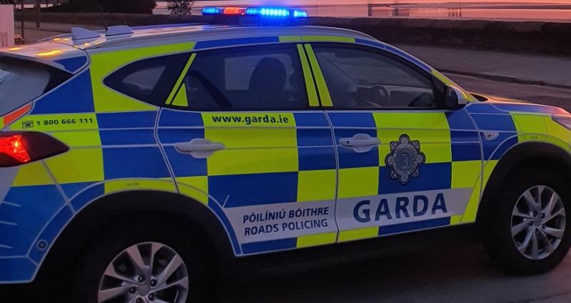 Driving ban for man who led Gardaí on high-speed chase