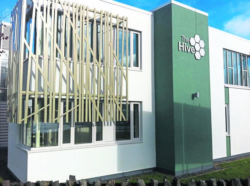 The Hive 