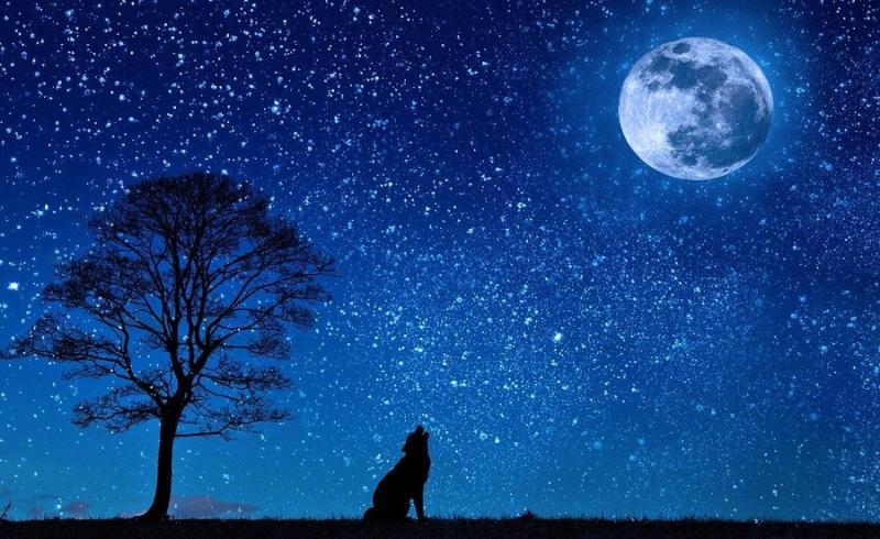 Rare blue moon over Donegal this Halloween - and astronomy Ireland would love to see your photos