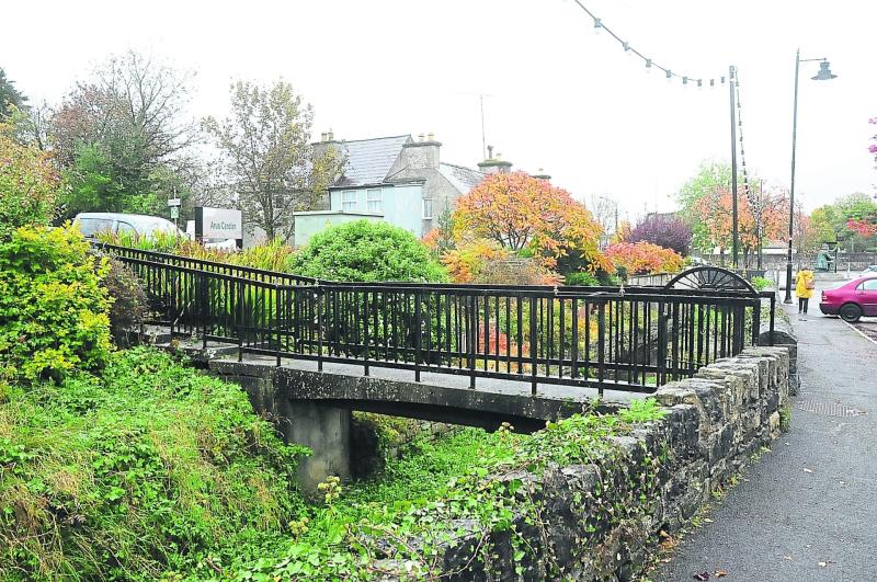 Mohill river needs a cleaning - Mulligan
