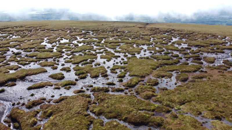 Bog on Leitrim mountain in need of urgent remedial work