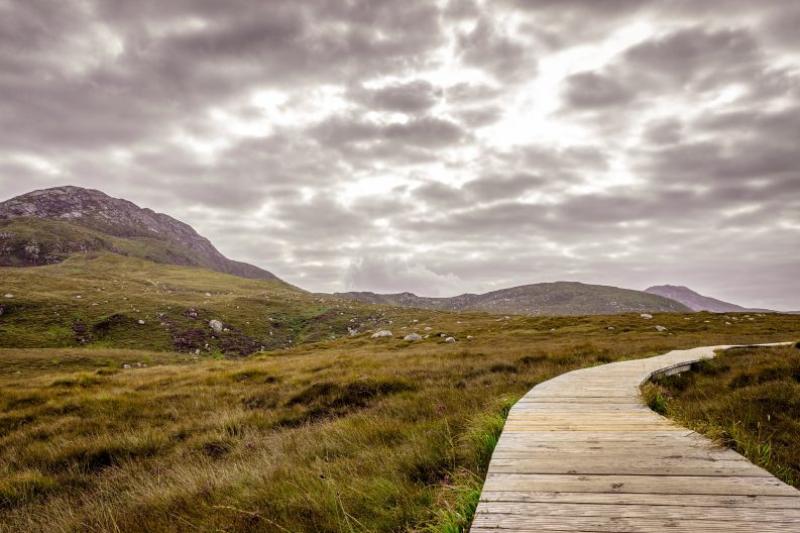 Councillors to discuss National Park idea for Leitrim
