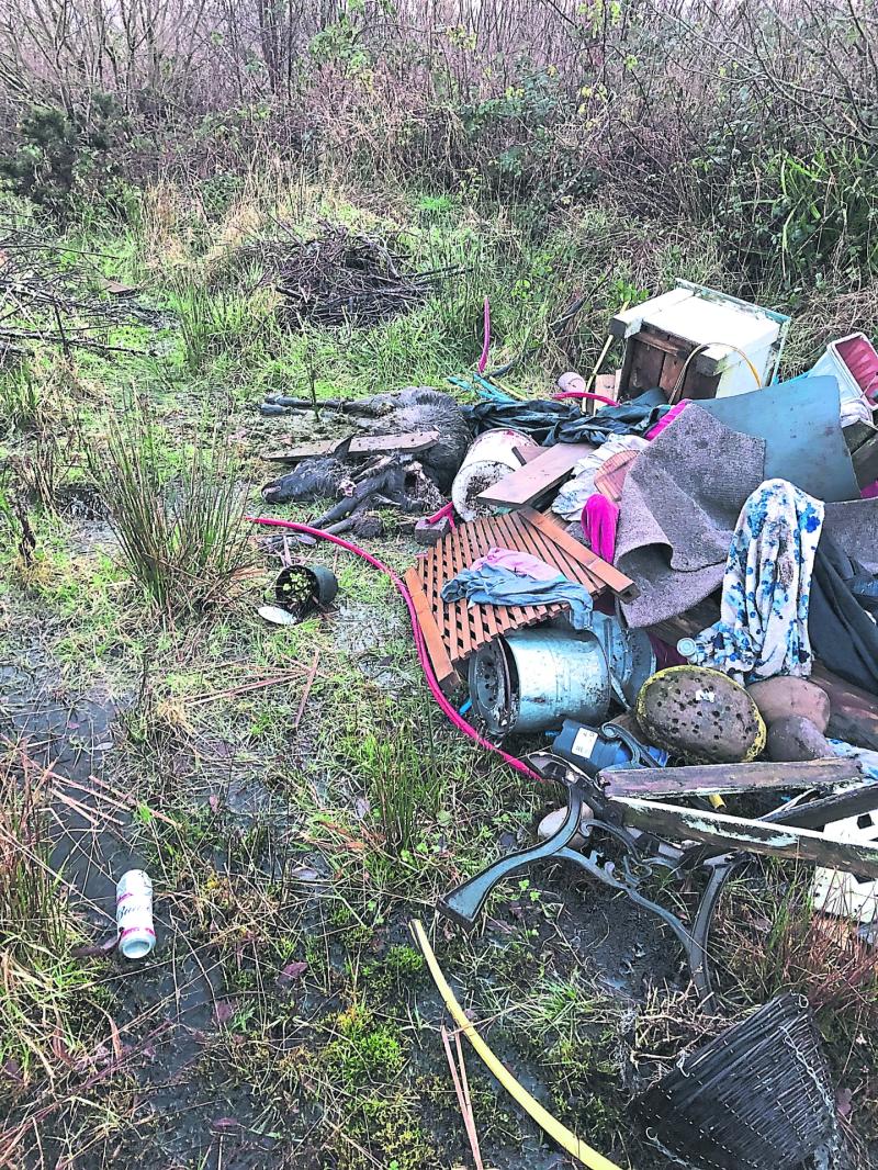 LEITRIM: Looking back at what made the news in January 2020