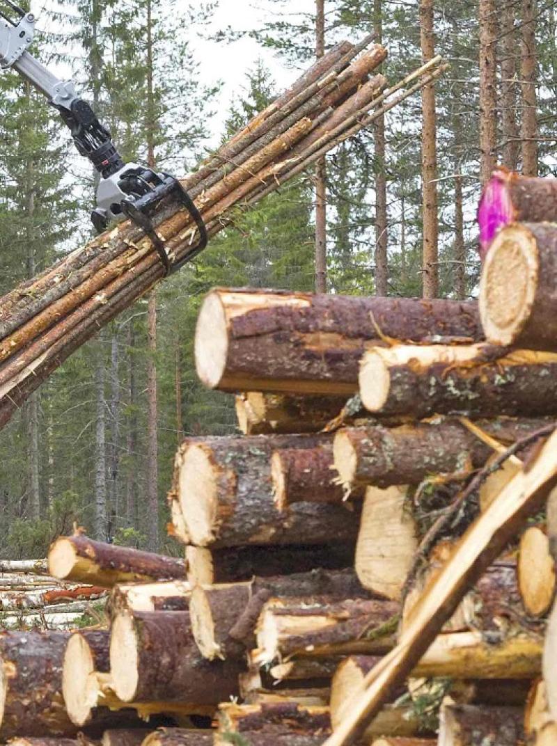 Forestry