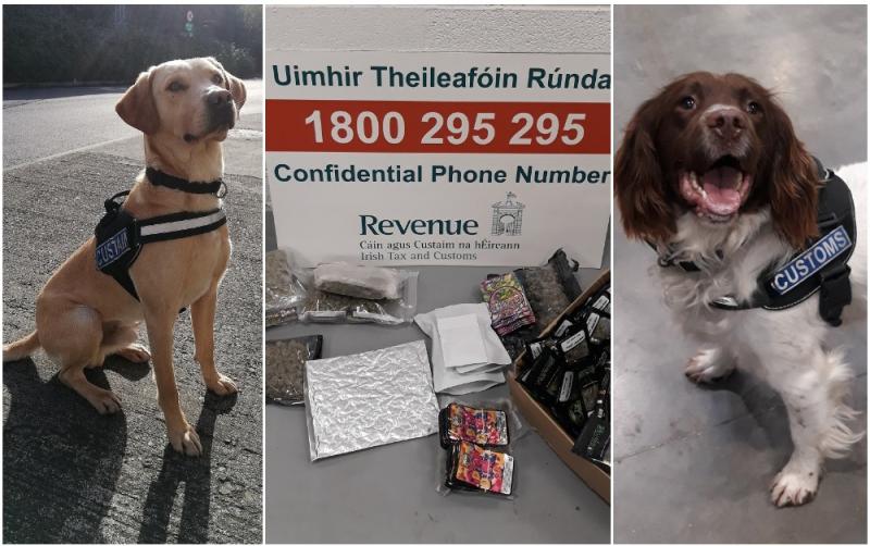 Detector dogs Bailey and Sam sniff out over &euro;30,000 worth of drugs destined for five counties