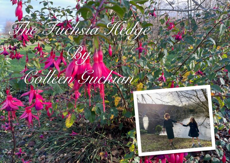 Leitrim granny pens second novel