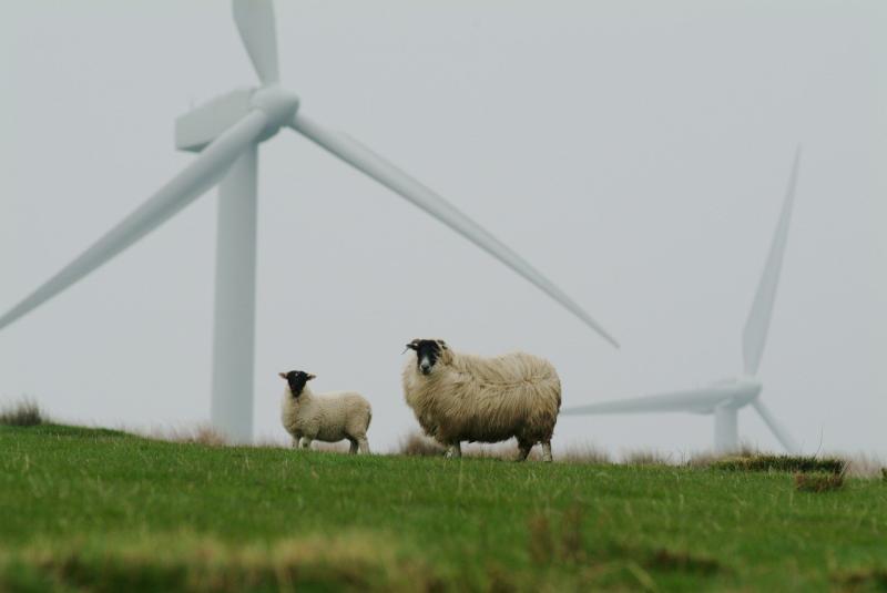 Challenge against €70 million wind farm admitted to Commercial Court list